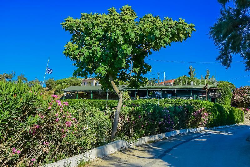 Porto Giardino Apartments Psarou  Extérieur photo